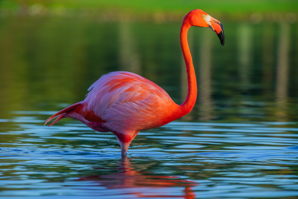Depositphotos.com